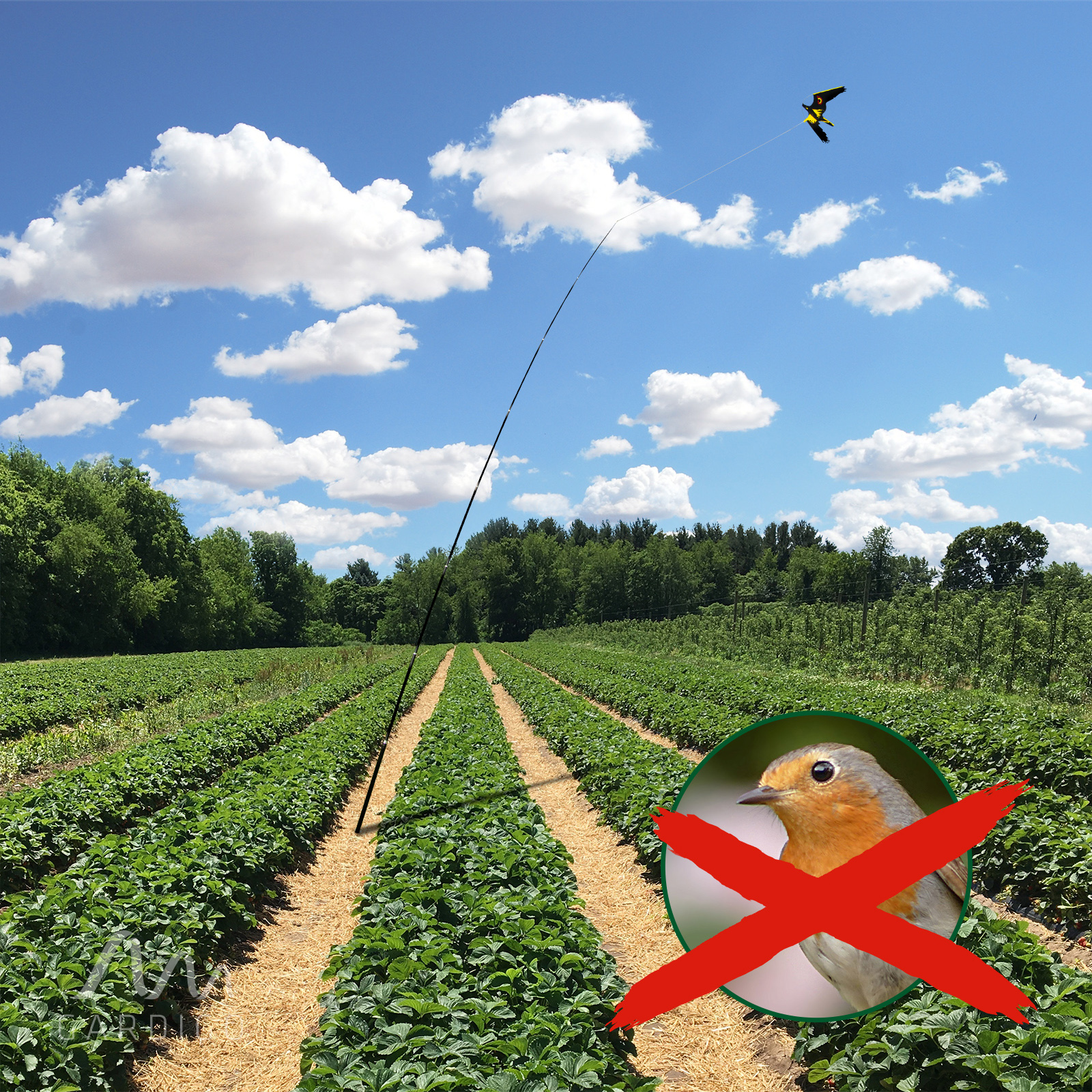 Vogelabwehr-Feld-60087 Vogelabwehr für Felder und Landwirtschaft