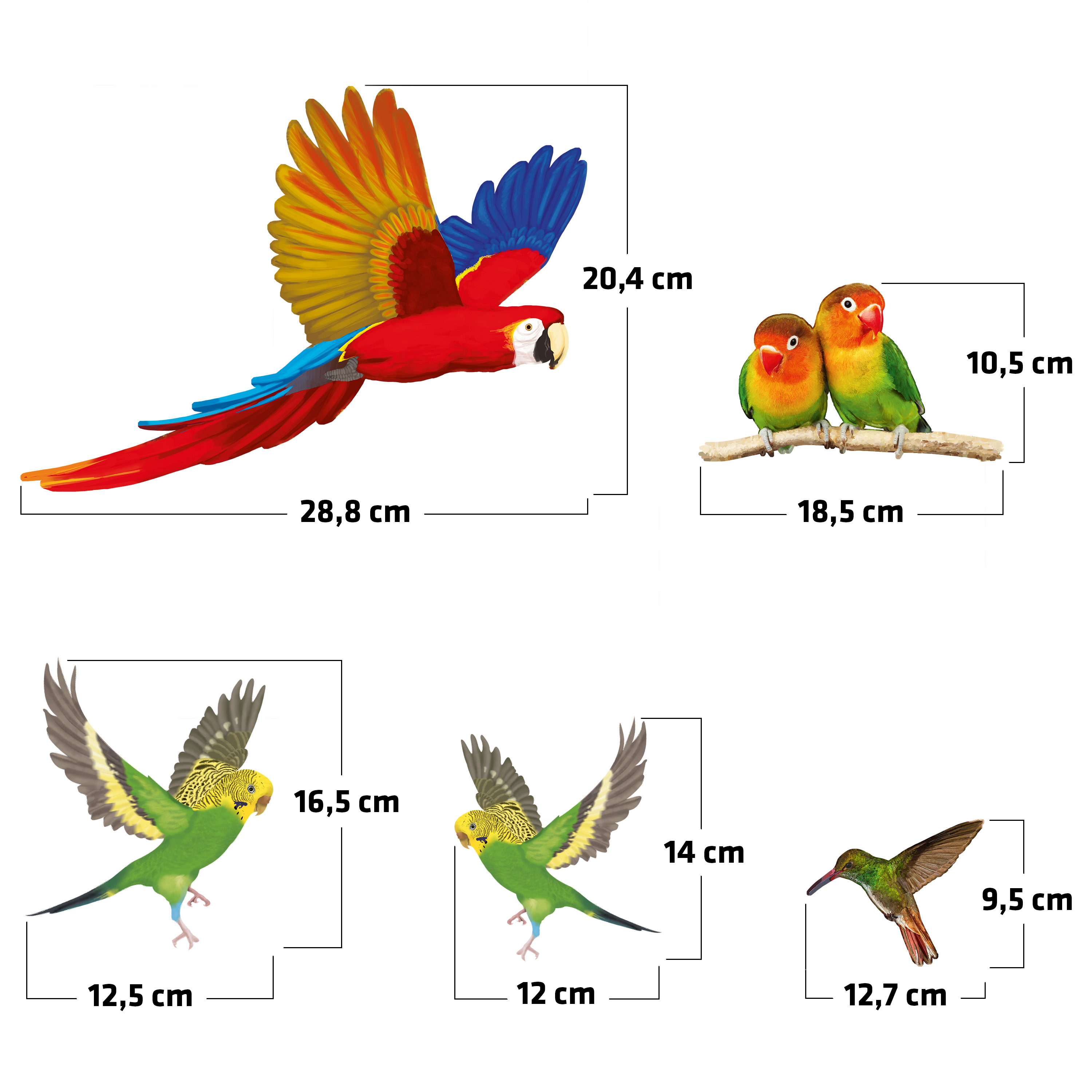Die Abmessungen der Vogelschutz-Aufkleber