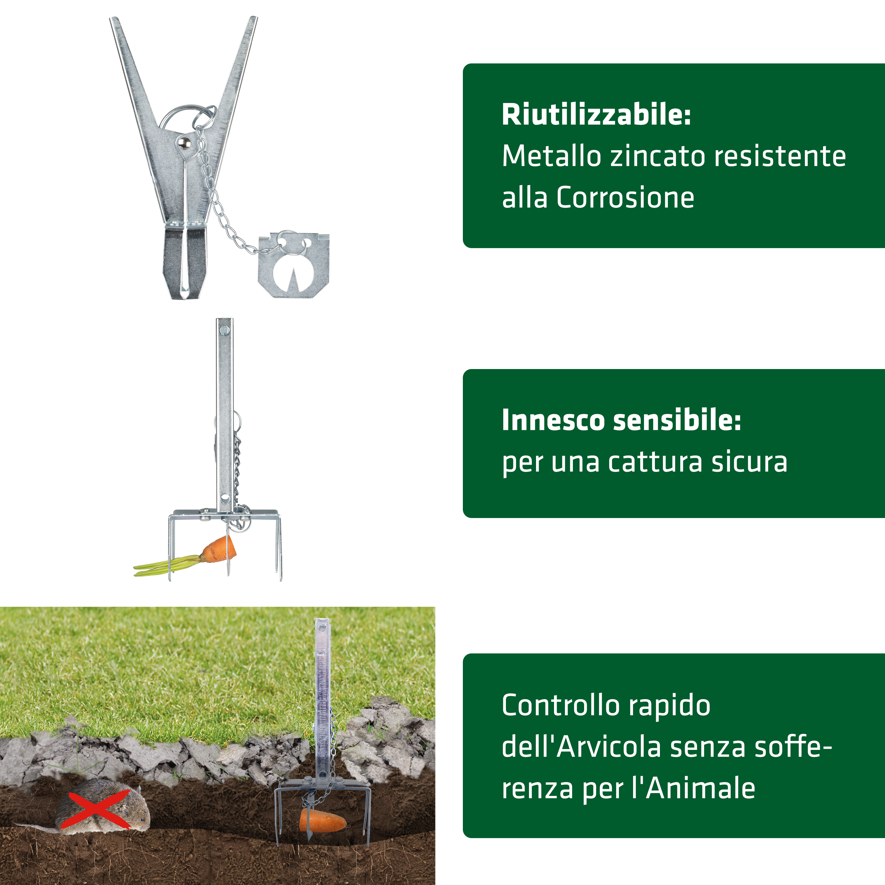 Trappole per Talpe e Arvicole | Set da 4 | Anti Talpe da Giardino a Tenaglia