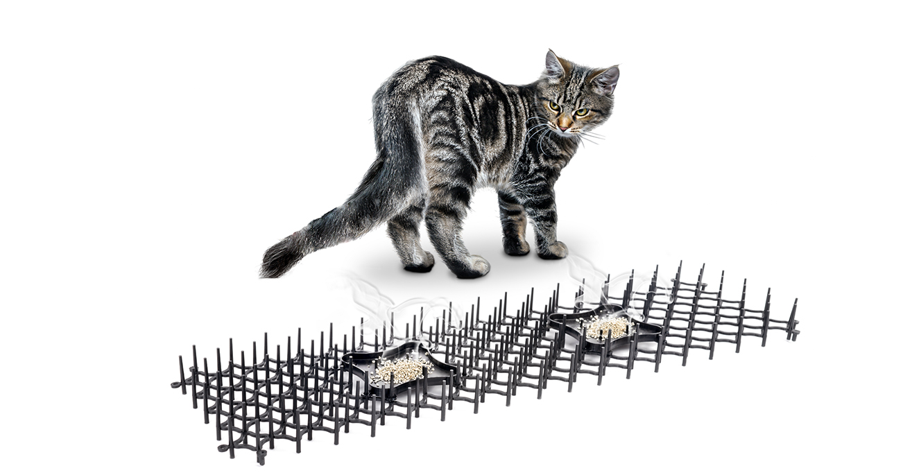 Katzenspikes