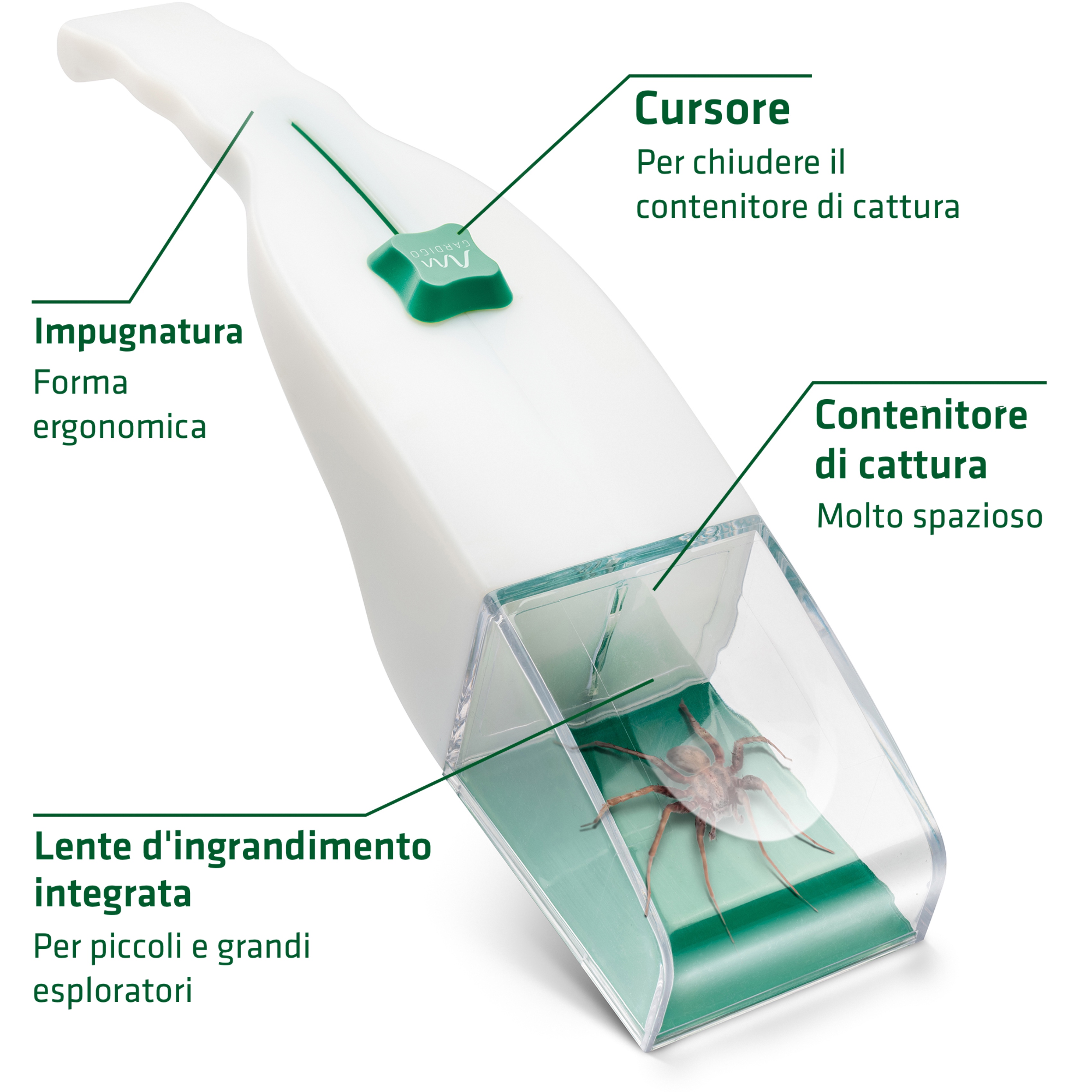 Acchiappa Insetti | con Lente d’Ingrandimento | Cattura Insetti Vivi