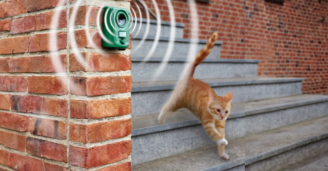 Ultraschall gegen Katzen