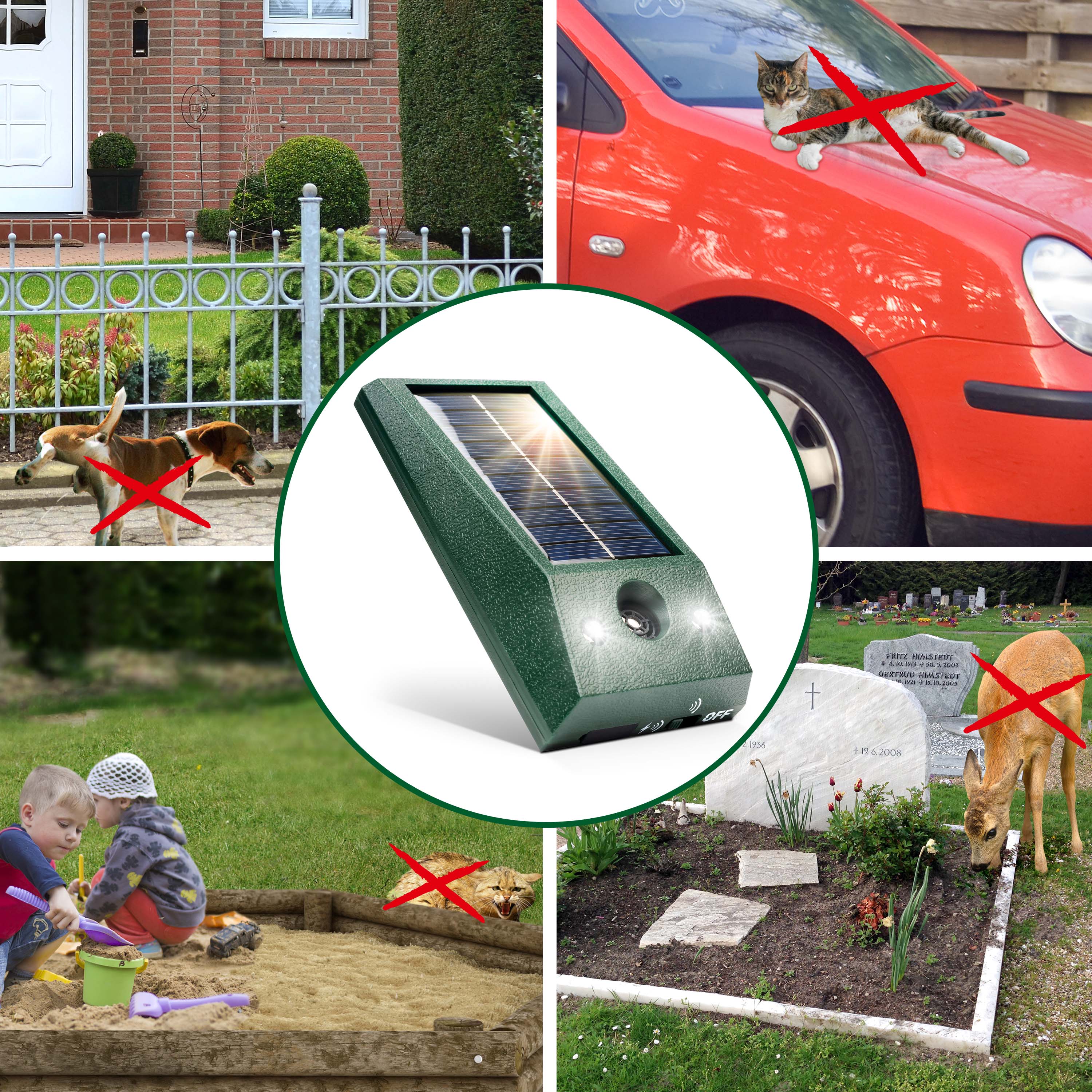 Halten Sie Waschbären vom Grundstück, Mülltonnen oder Ihrem Garten fern.