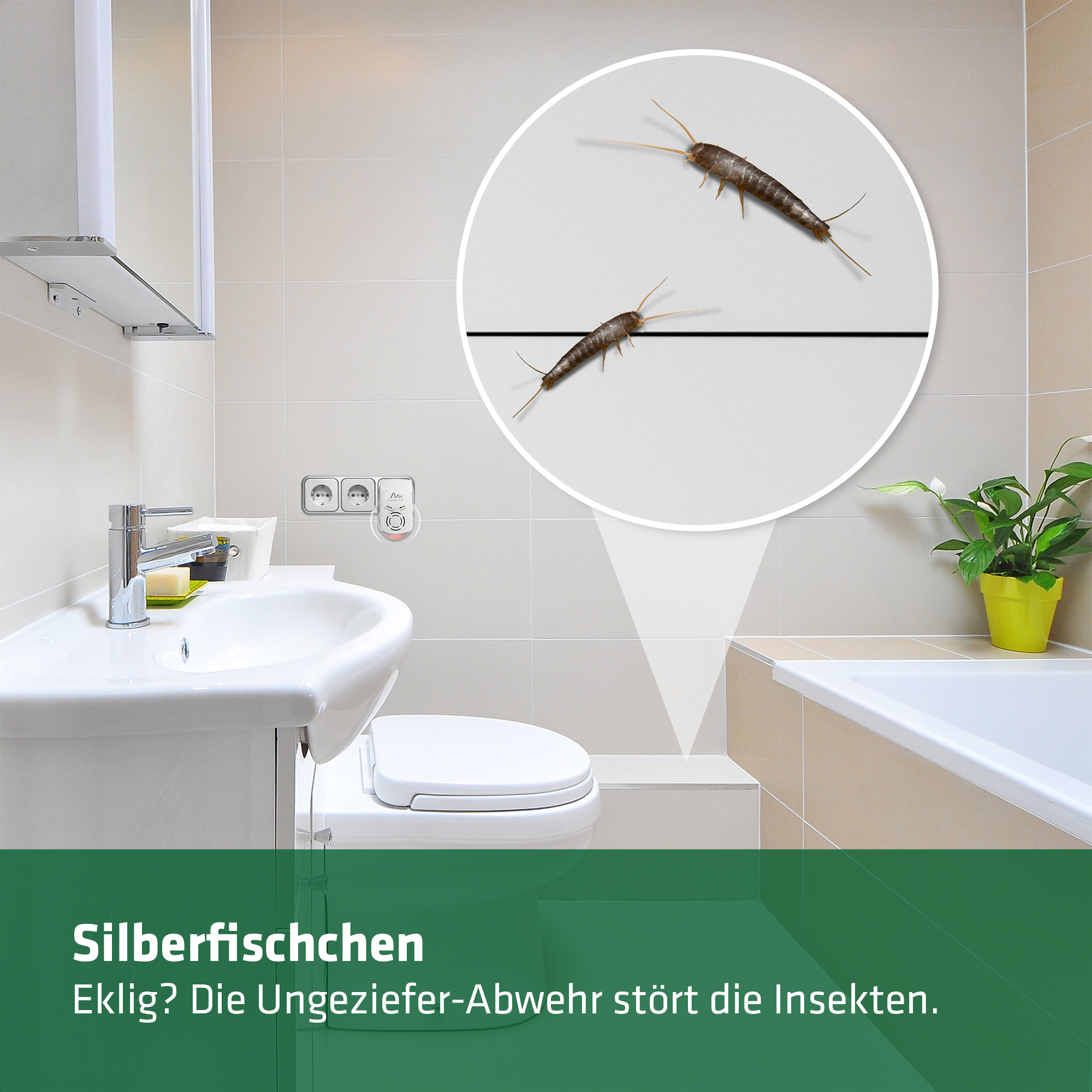 Sie finden Silberfischchen eklig? Das Gerät stört die Insekten.