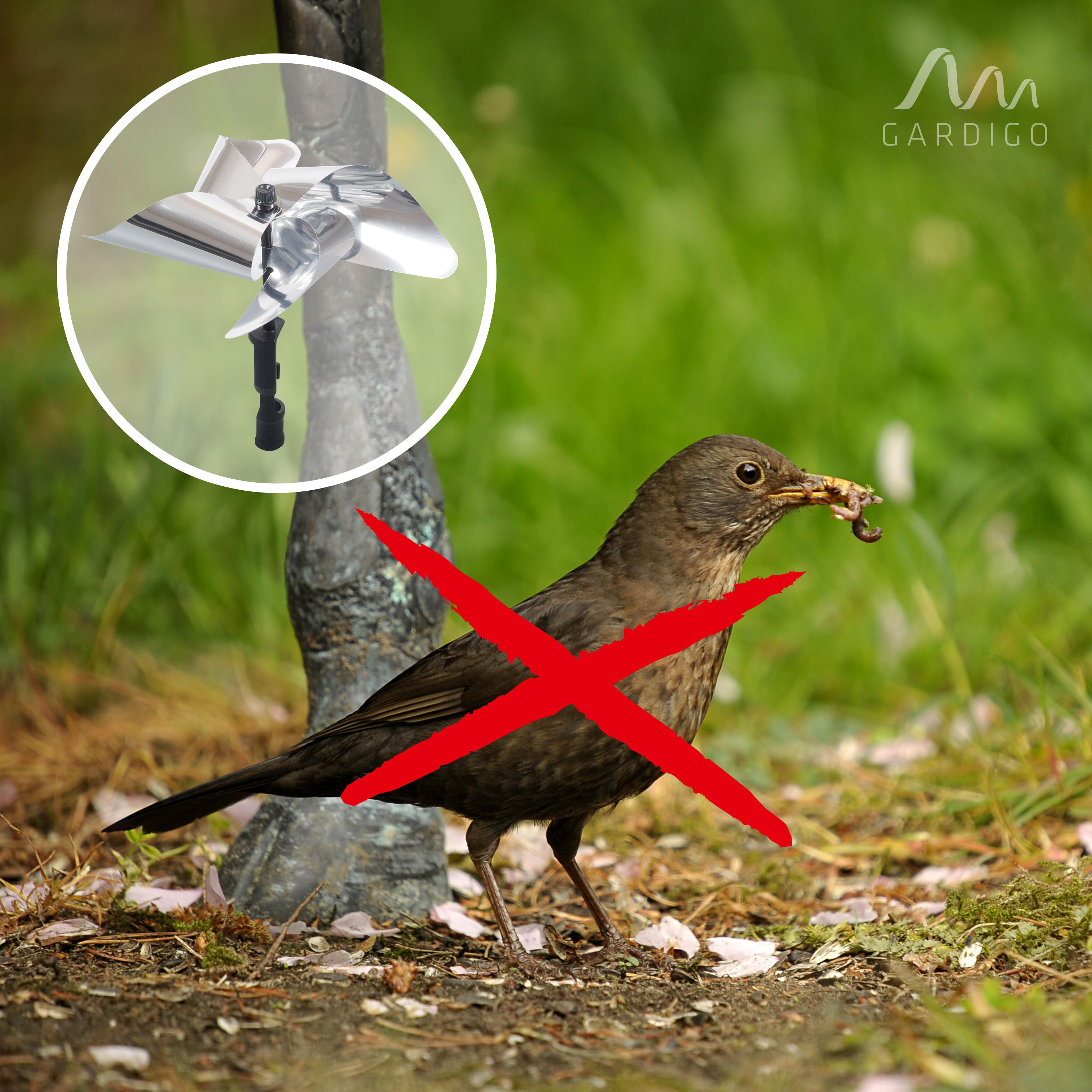 Halten Sie Vögel fern, die Ihrem Garten schaden oder ihn stark verdrecken.