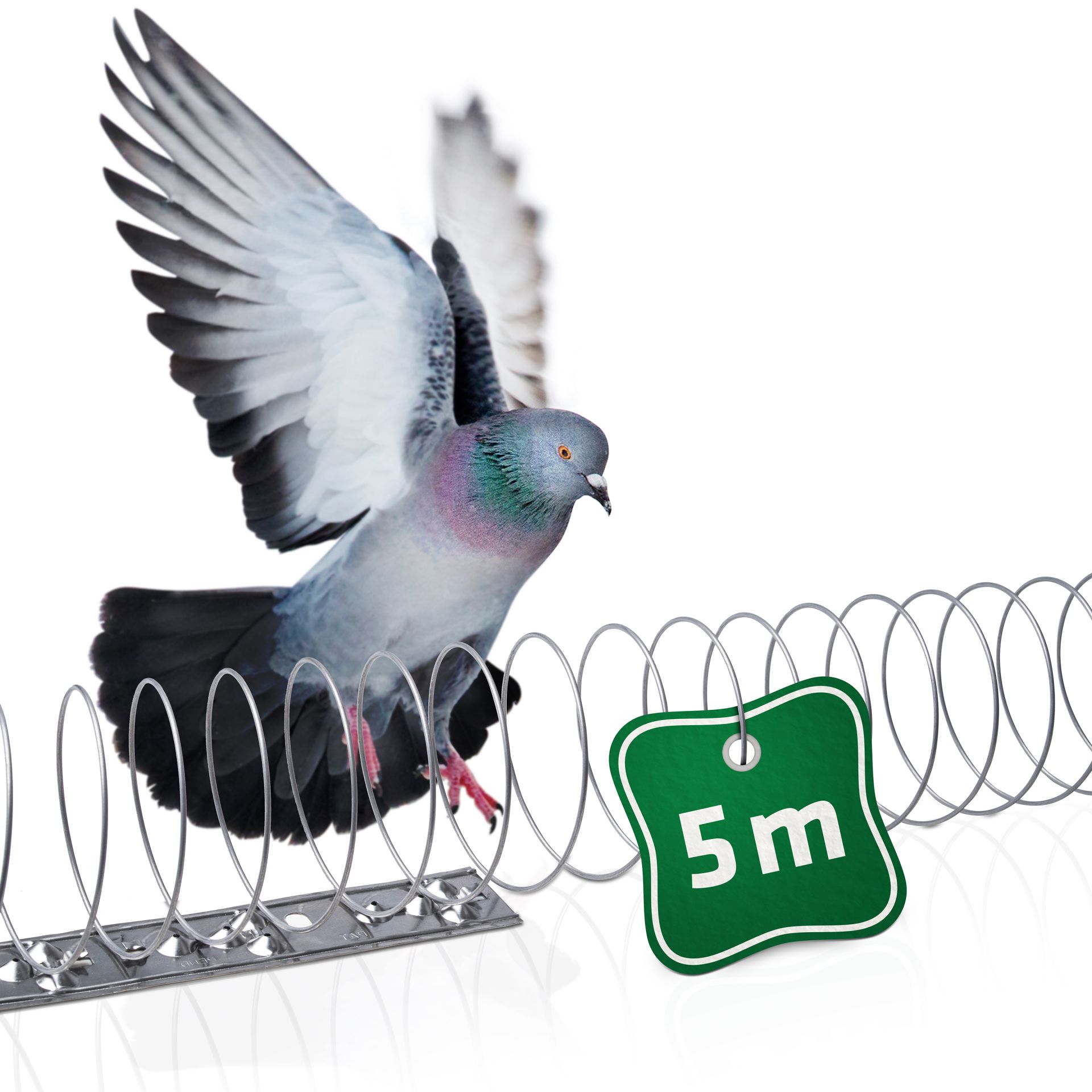 Dissuasori per Piccioni | 5 m | Scaccia Piccioni senza Punte