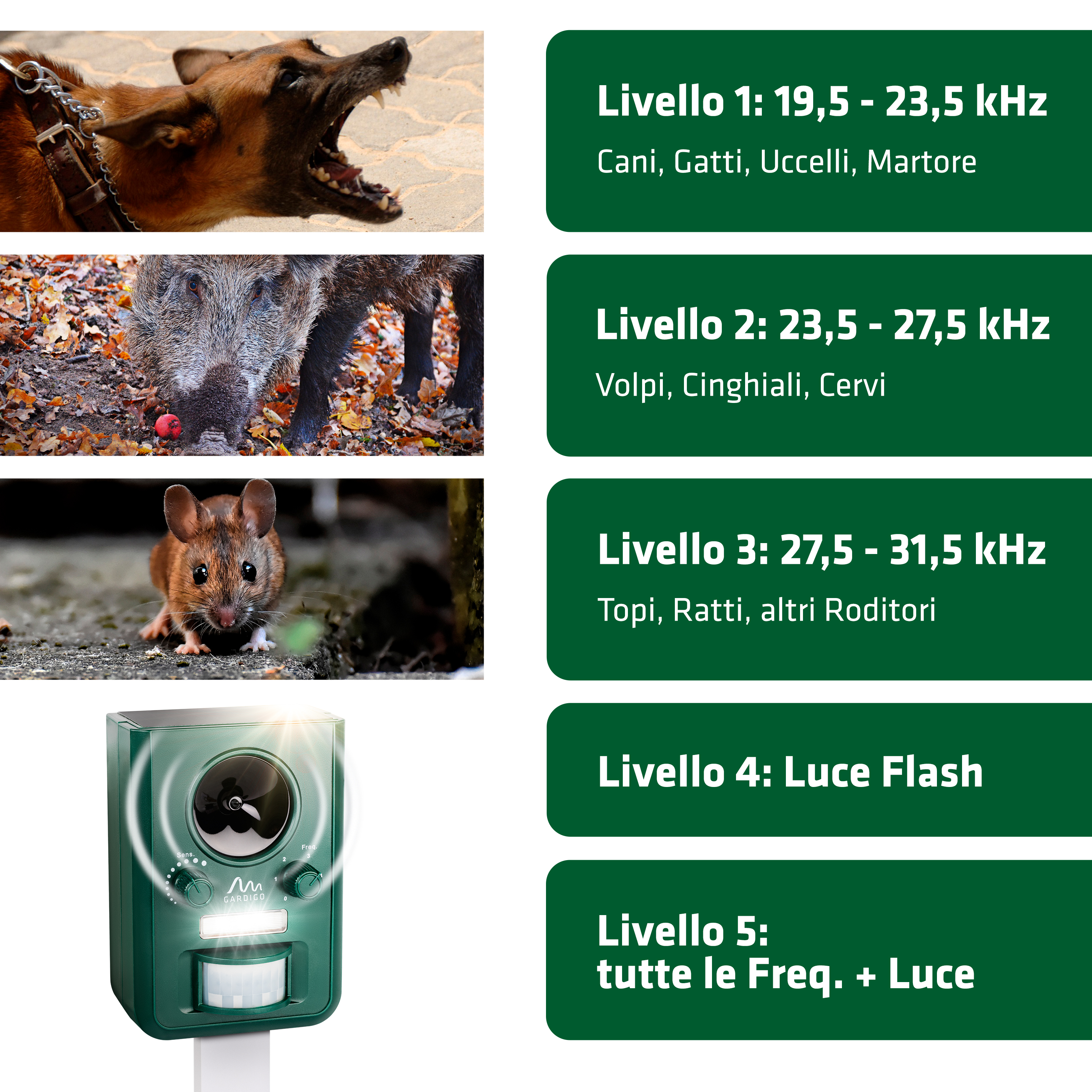 Come eliminare le talpe dal giardino e dall'orto Come eliminare le talpe dal giardino e dall'orto