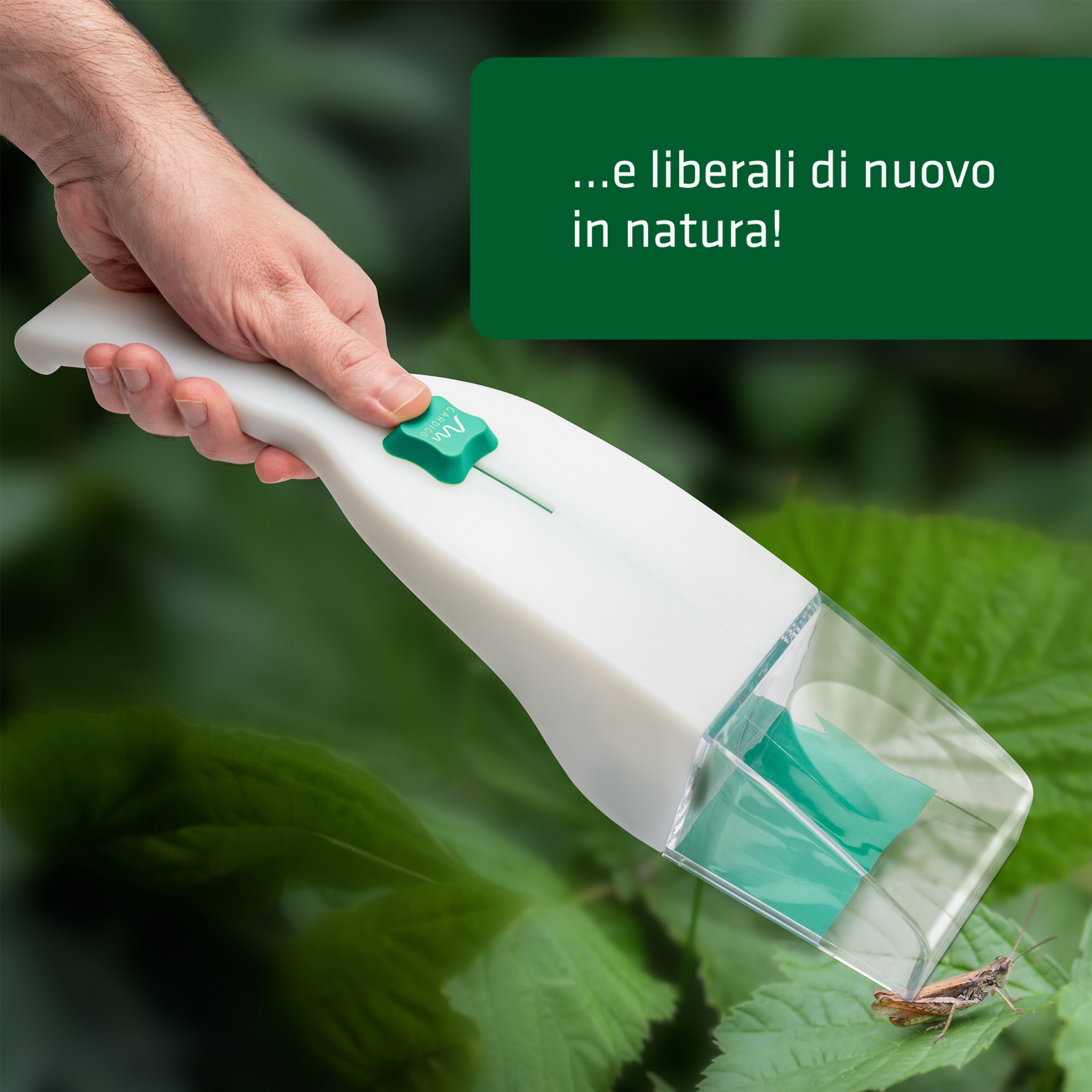 Acchiappa Insetti | con Lente d’Ingrandimento | Cattura Insetti Vivi