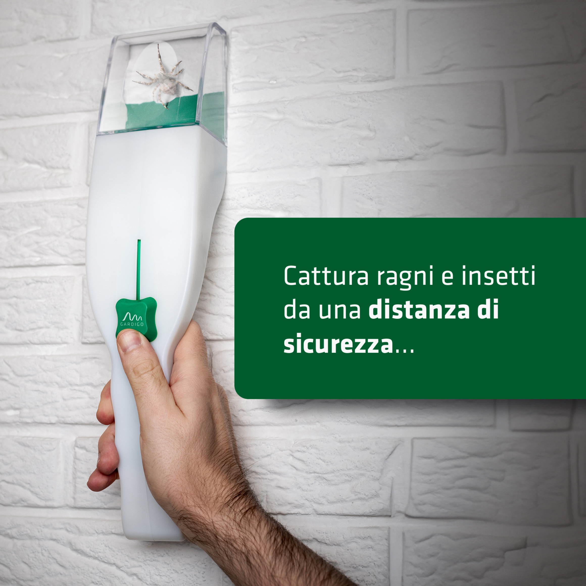 Acchiappa Insetti | con Lente d’Ingrandimento | Cattura Insetti Vivi