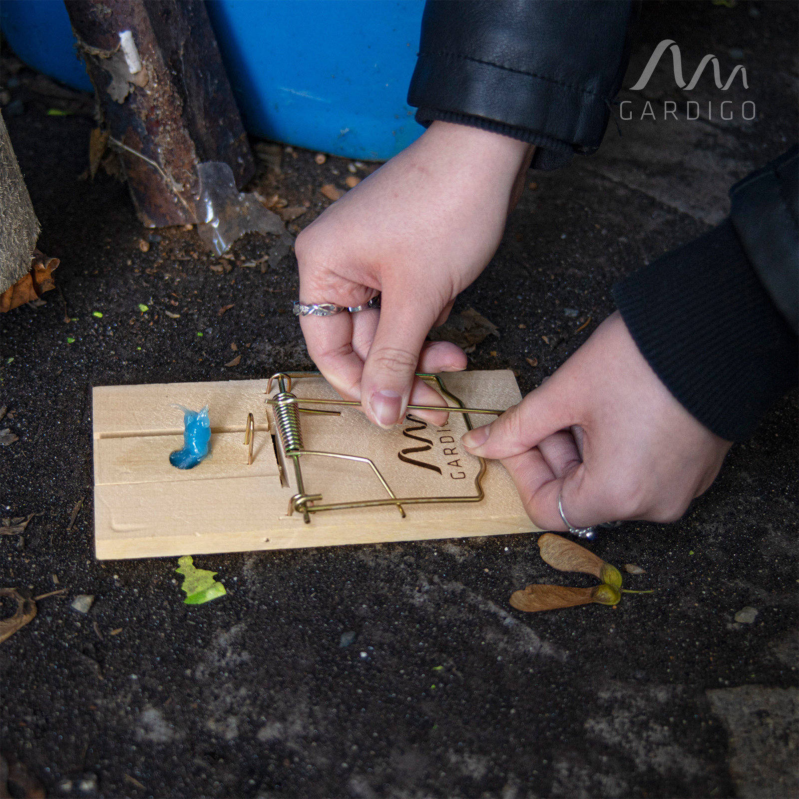 Mit wenigen Handgriffen wird die Holz-Rattenfalle gespannt.