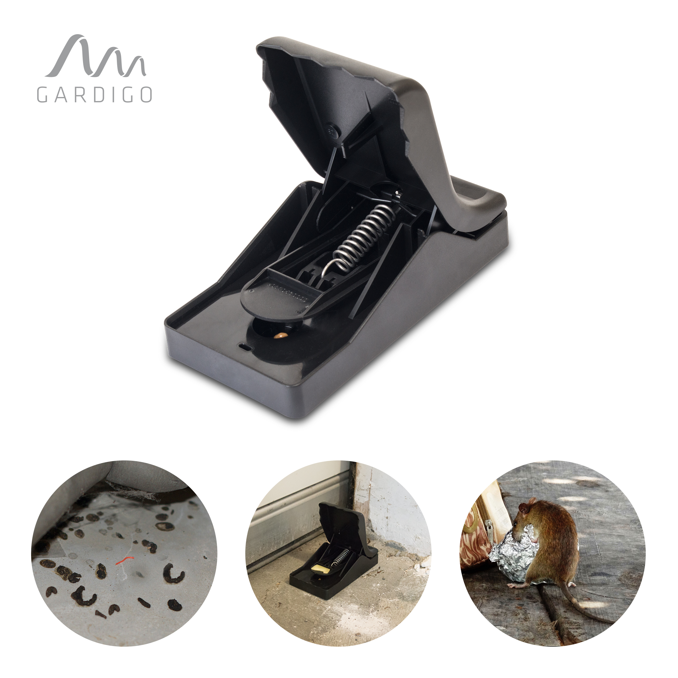 Das Rattenproblem erkennt man häufig an den unappetitlichen Hinterlassenschaften.