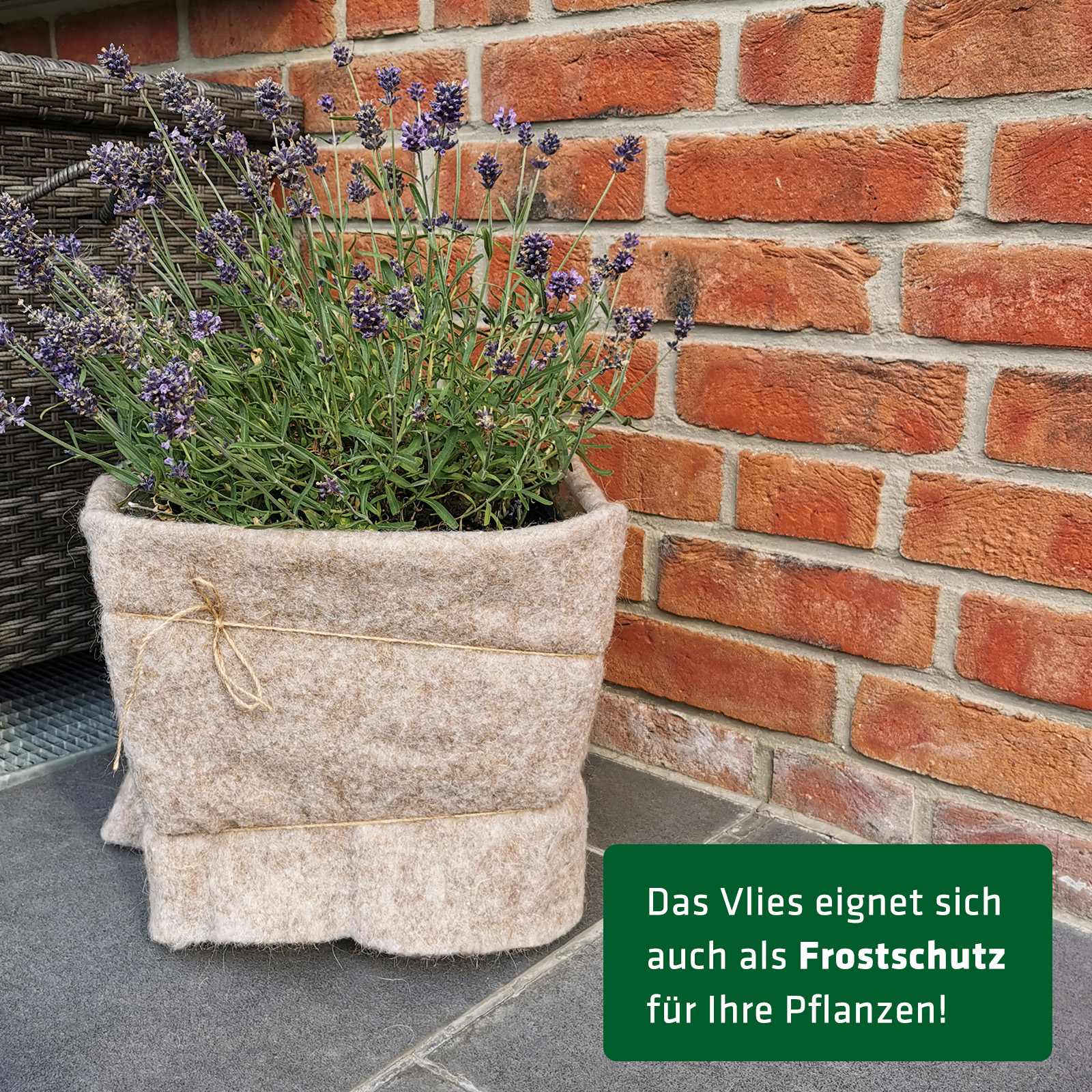 Tessuto Anti-Lumache | ca. 80x60 cm | Difesa Naturale contro le Lumache e Protezione dal Gelo