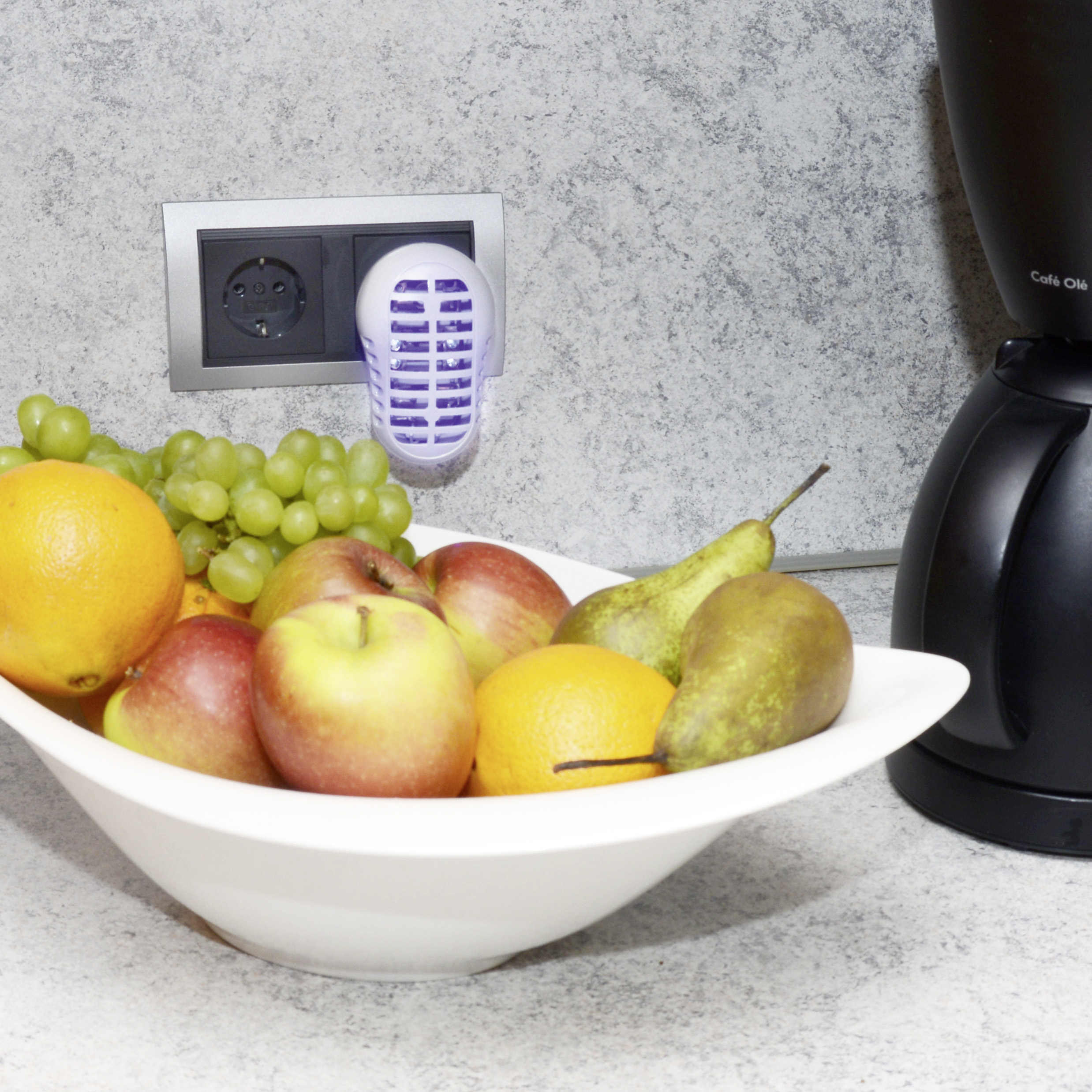 Wenn die Fliegen sich allerdings über unser Obst hermachen verdirbt dies schneller & wird ungenießbar.