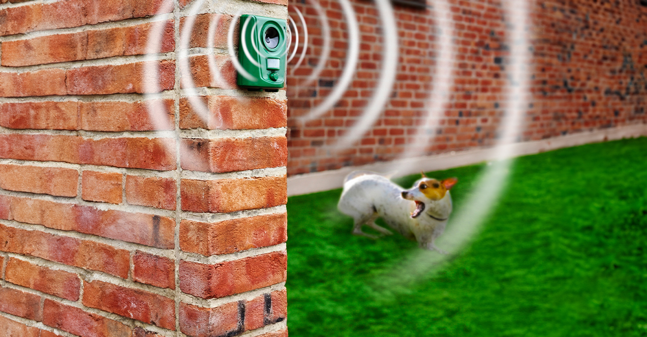 Ultraschall gegen Hunde