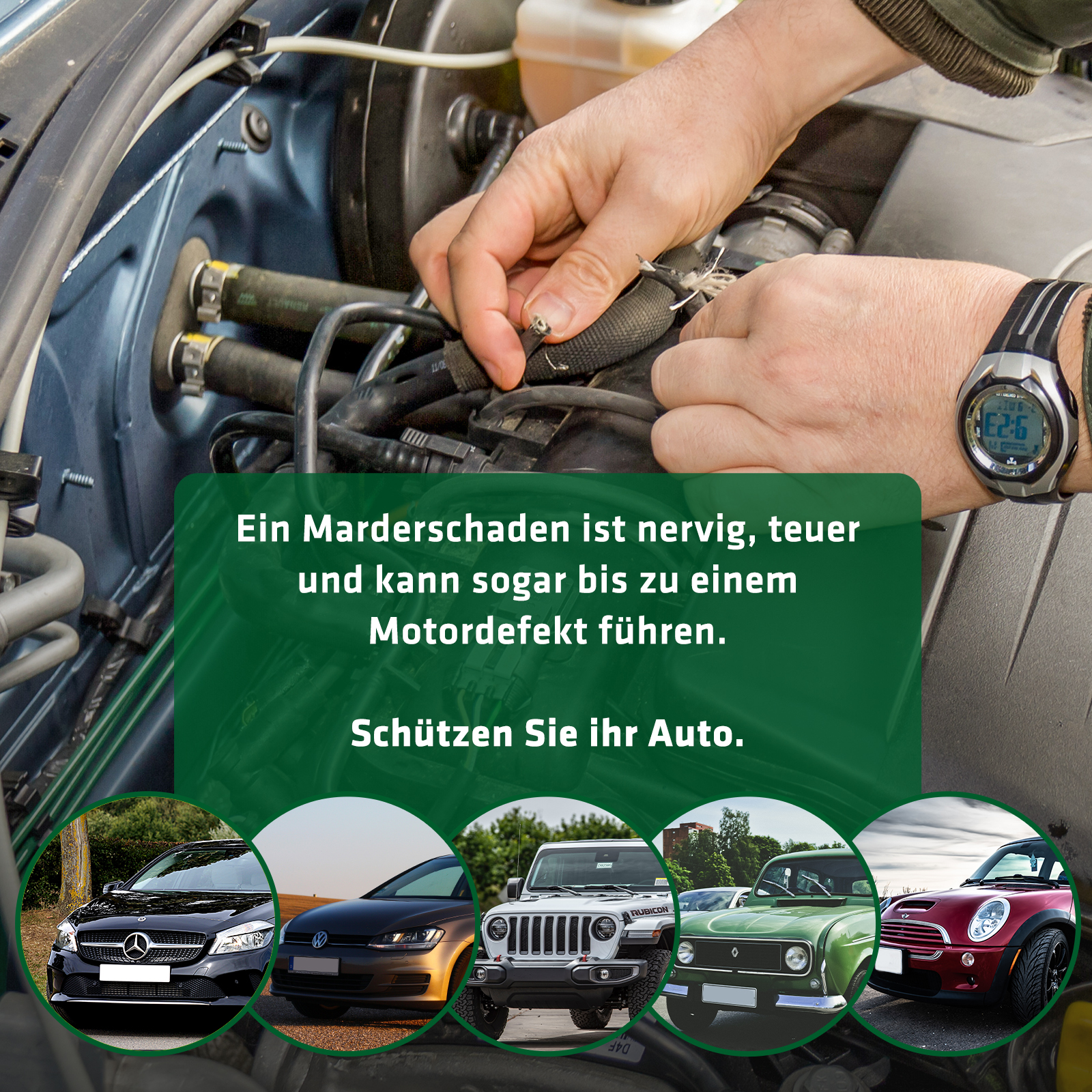 Gardigo® Repellente per Martore Auto con Scossa Elettrica, Tripla Protezione con Ultrasuoni Gardigo® Repellente per Martore Auto con Scossa Elettrica, Tripla Protezione con Ultrasuoni