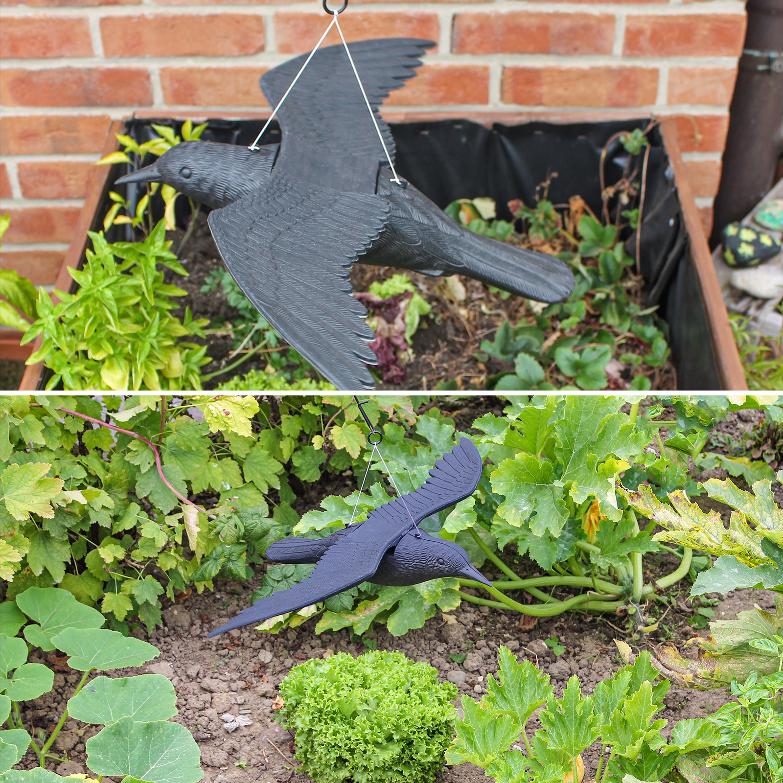 Ihre Blumen-, Hoch- und Gemüsegärten werden von Vögel zerstört? Schützen Sie die Ihre Beete vor ungebetenen Gästen.