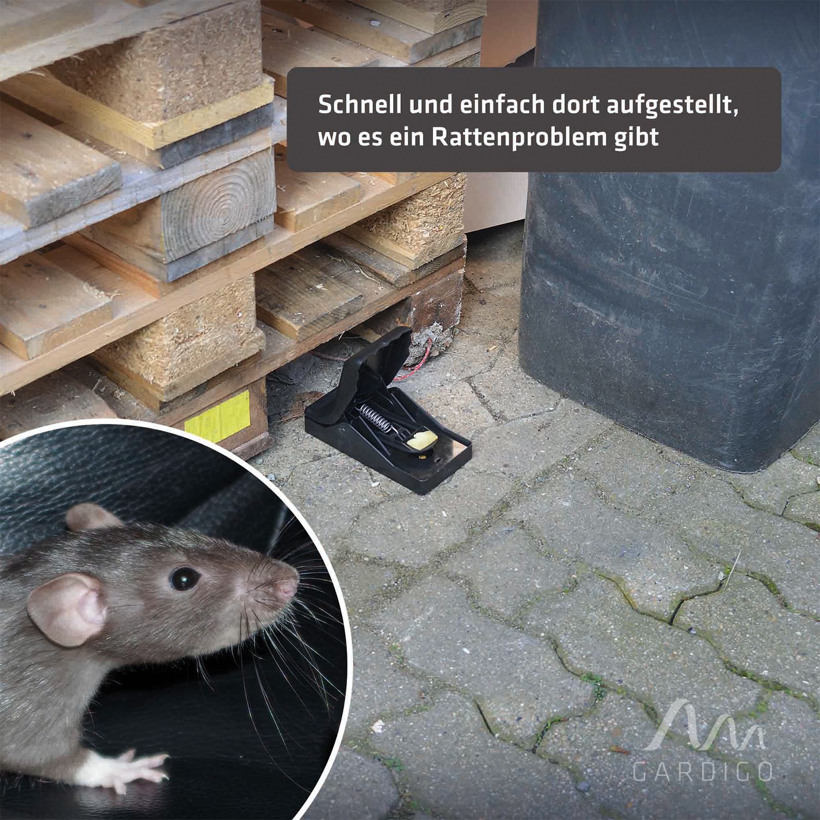 Auch an Ablageorten für Müll und Abfall sollte man sich vor einer Rattenplage absichern. Besonders im Außenbereich sind die Nager oft zu Gange.