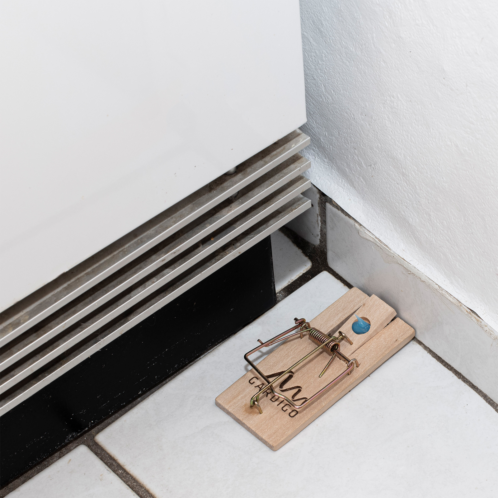 Verzichten Sie auf den Einsatz von Giftköder, da diese gesundheits- und umweltschädigend sind. 