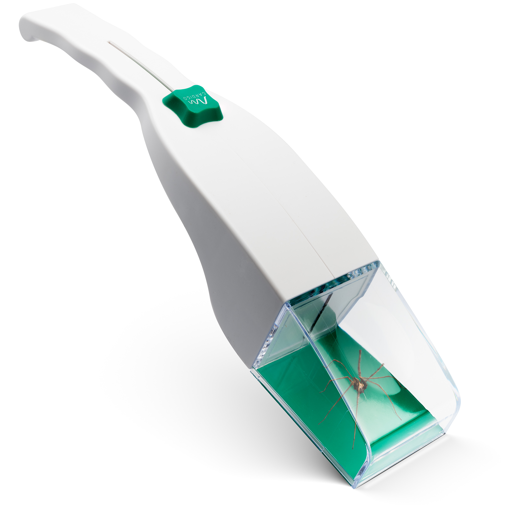 Acchiappa Insetti | con Lente d’Ingrandimento | Cattura Insetti Vivi | Grande