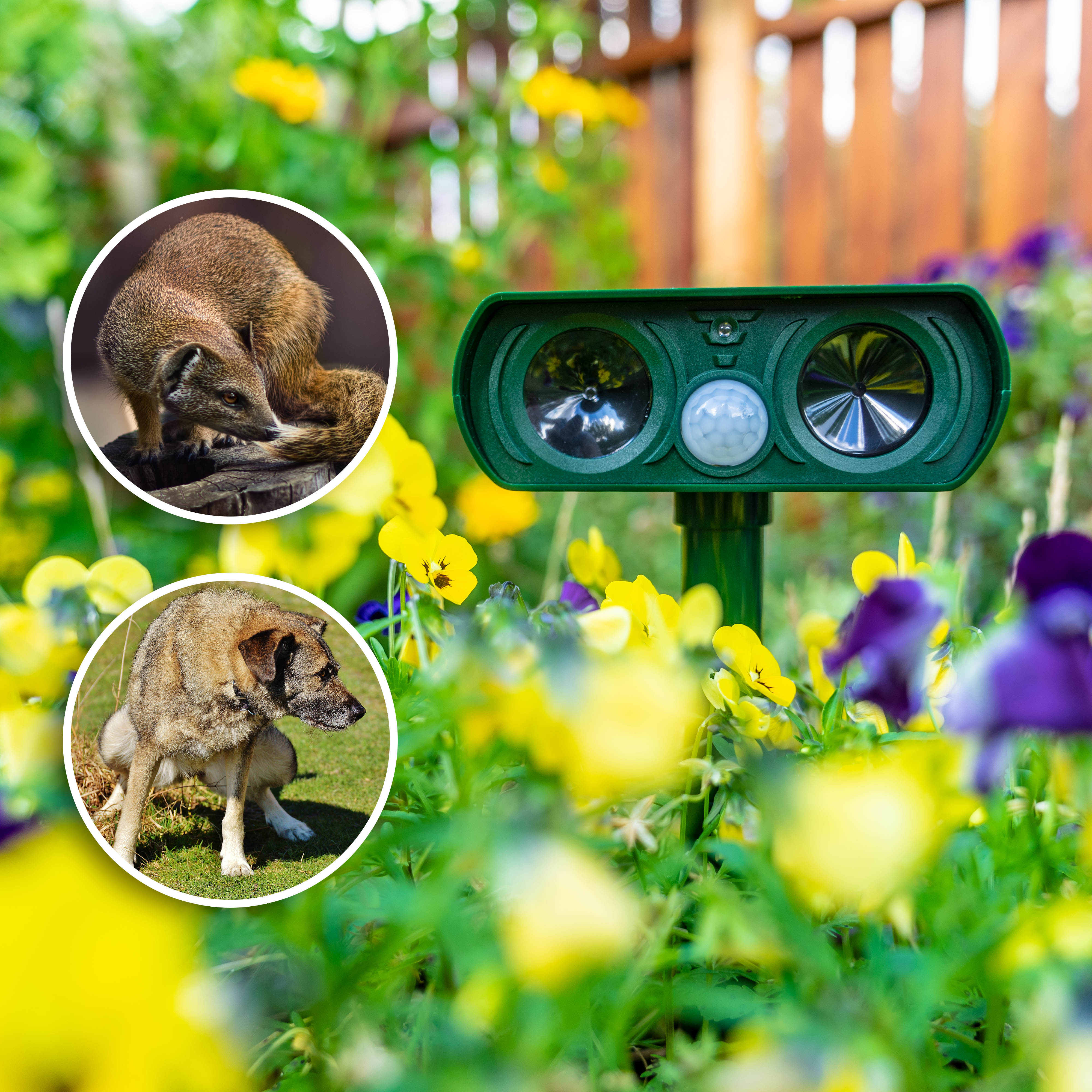 Auch Marder und Hunde können von dem Gerät aus Ihrem Garten ferngehalten werden.