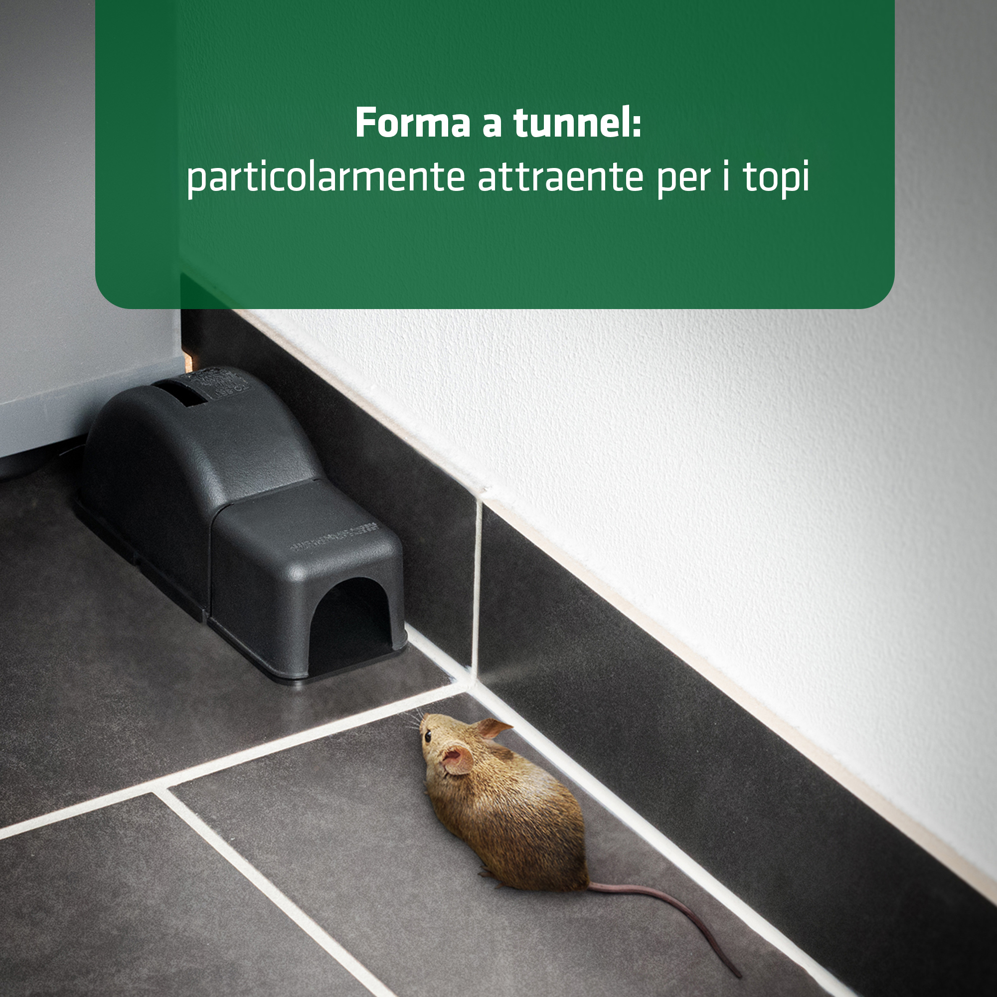 Trappole Topi 2.0 | Trappola per Topi Igienica e Discreta | Set da 4