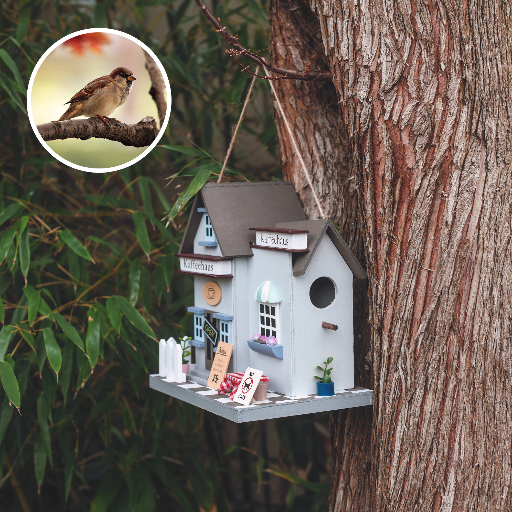 90542-Vogelhaus-Kaffeehaus-Sperlinge-Trauerschnaepper Das dekorative Haus eignet sich besonders für Haussperlinge und Trauerschnäpper.