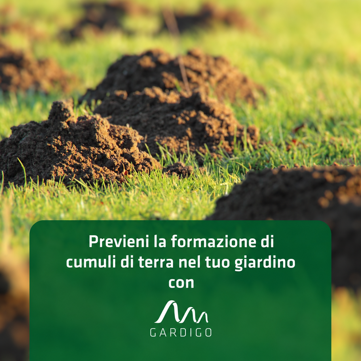 Dissuasore per talpe mini | Dispositivo compatto a batteria contro le talpe