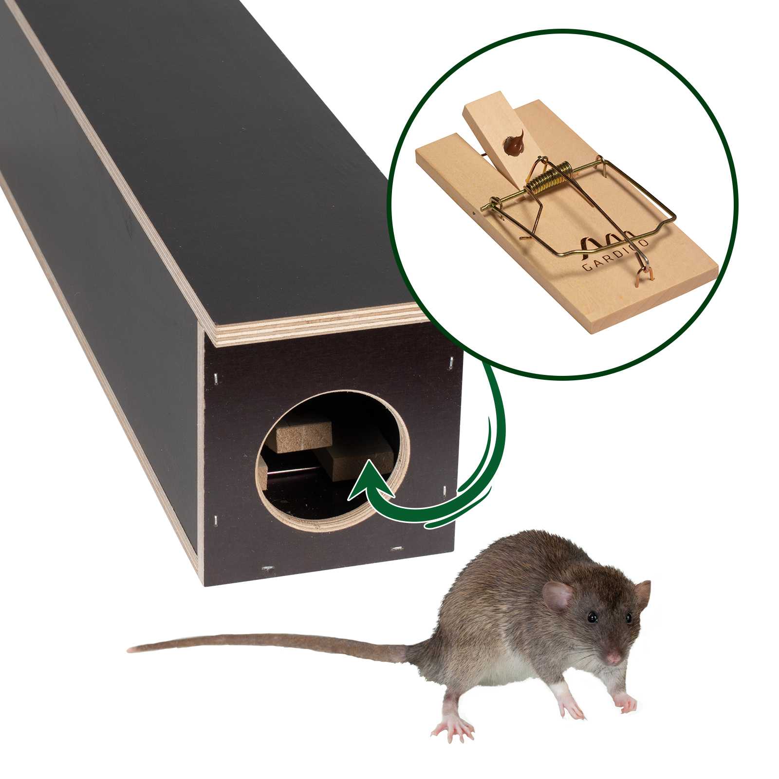 Rattenschlagfallen sollten gespannt nicht offen herumliegen, da hier Verletzungsgefahr durch versehentliches Auslösen besteht.