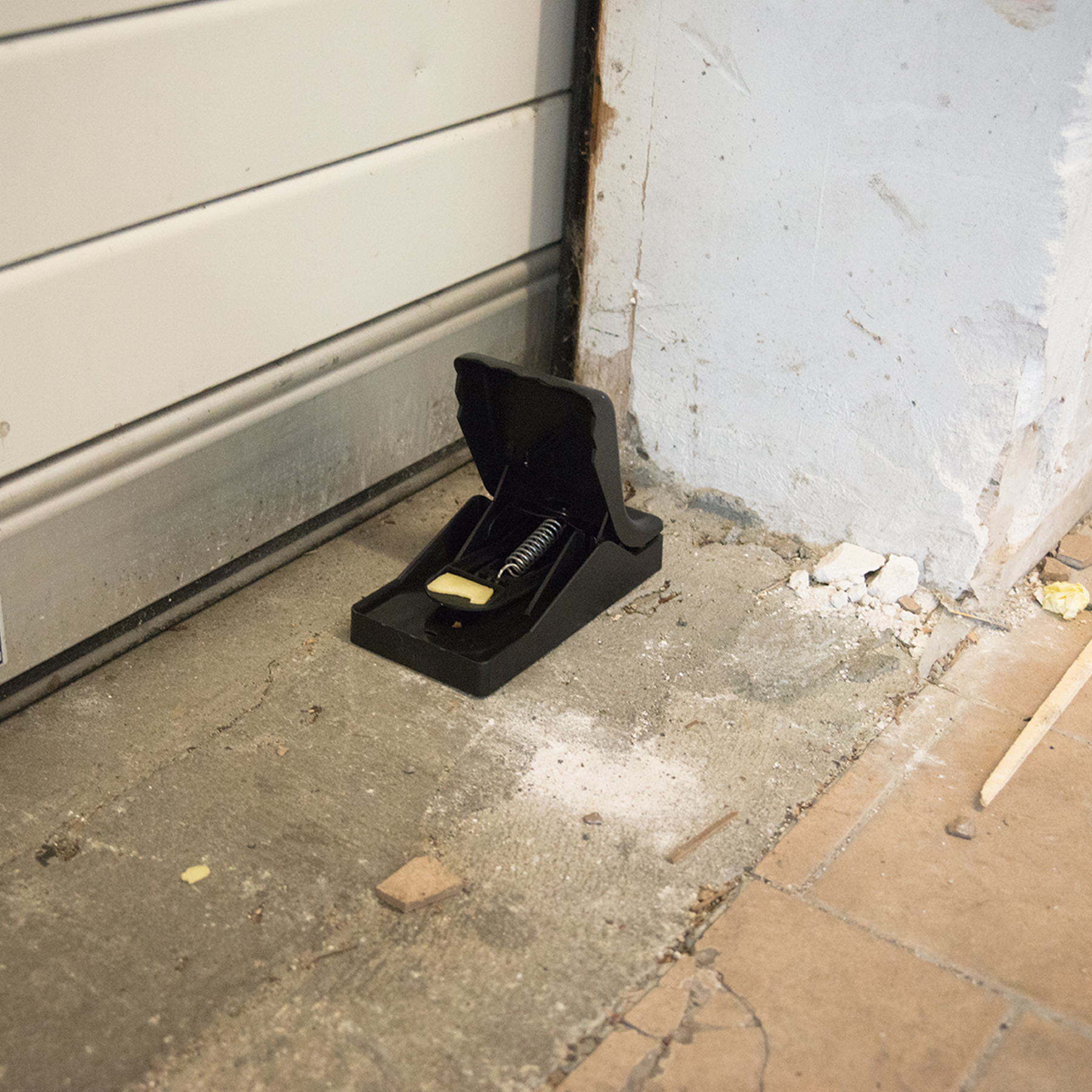 Präventiv können Sie schon mögliche Zugänge für Ratten mit einer Falle versehen.